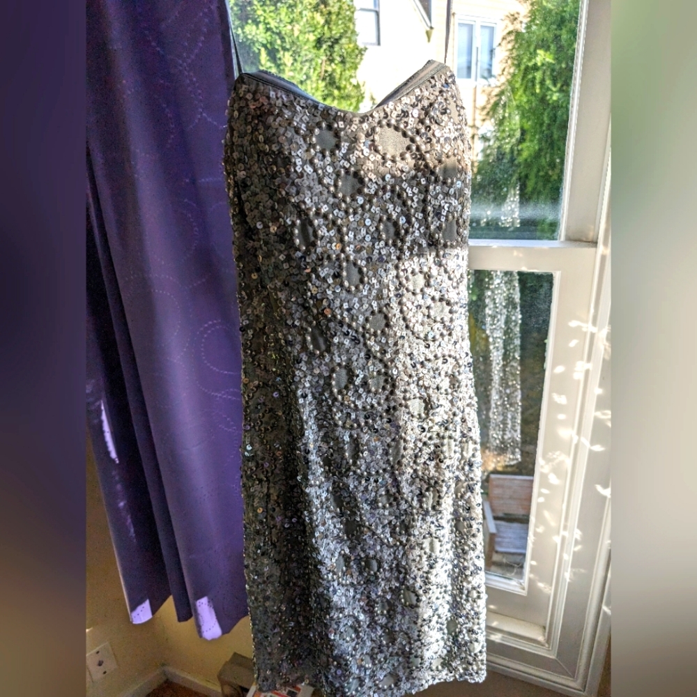 Size 8 Adrianna Pappel Strapless dress